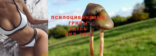 дживик Горнозаводск