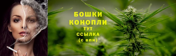 PSILOCYBIN Вязники