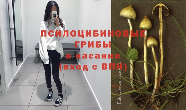дживик Горнозаводск